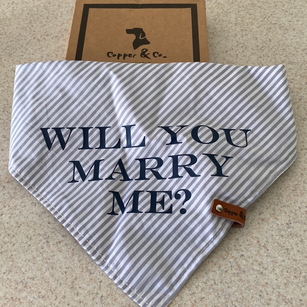 Dog Bandana (Large)